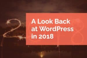 A Look Back at WordPress in 2018