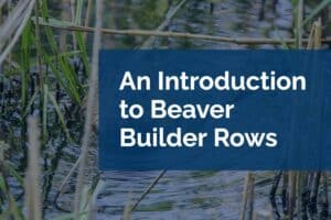 An Introduction to Beaver Builder Rows