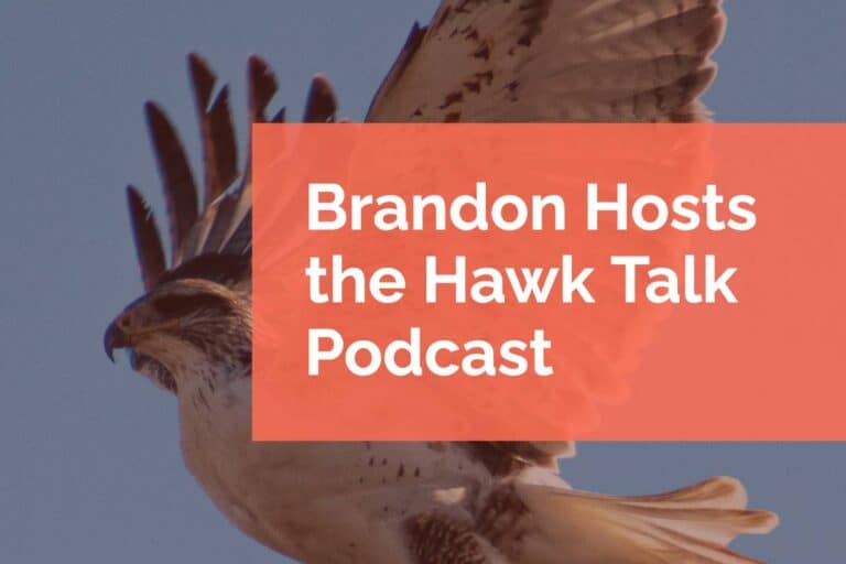 Brandon Hosts the Hawk Talk Podcast