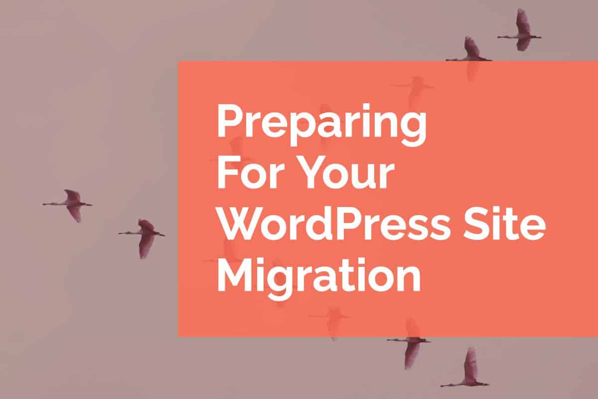 Preparing For Your WordPress Site Migration Pixel Jar preparing-for-your-wordpress-site-migration-pixel-jar