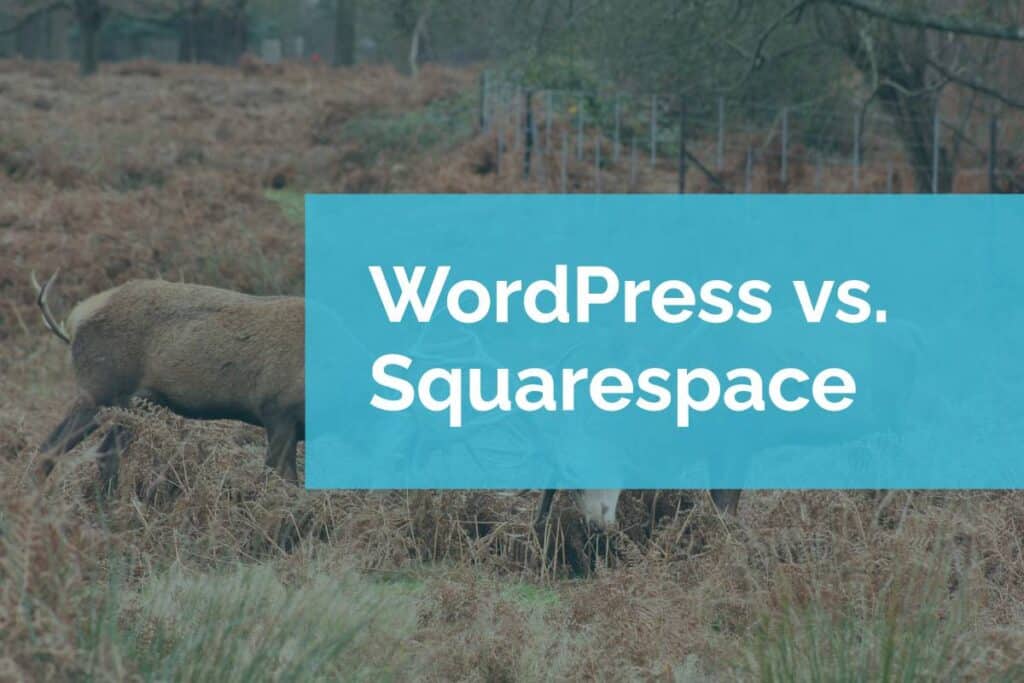 WordPress vs. Squarespace WordPress vs. Squarespace