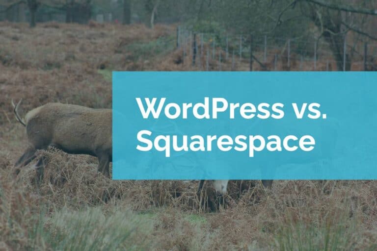 WordPress vs. Squarespace