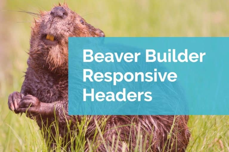 Beaver Builder Responsive Headers