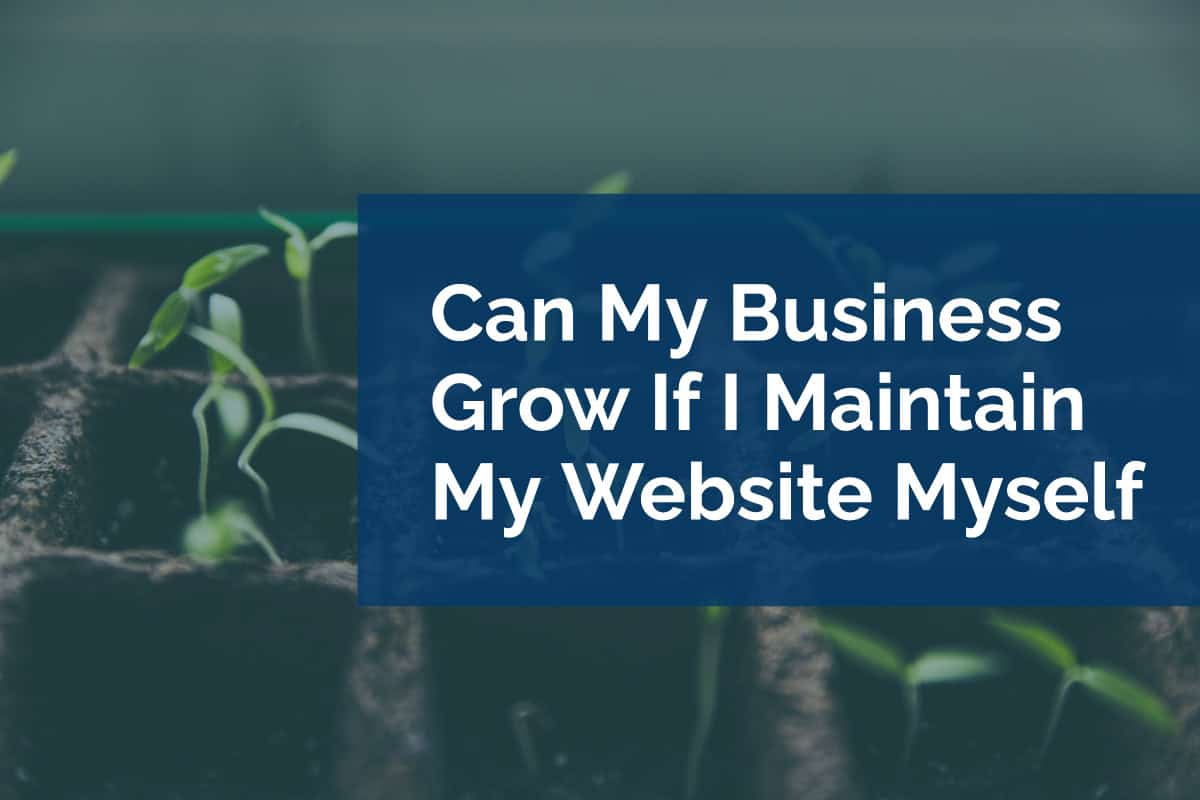Can My Business Grow If I Maintain My Website Myself?