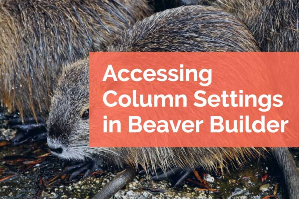 Column Settings in Beaver Builder