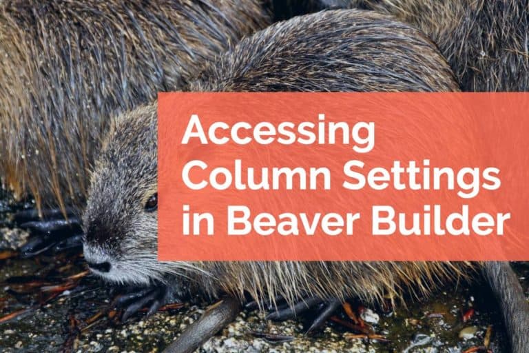 Accessing Column Settings in Beaver Builder
