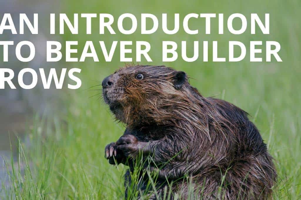 introduction to beaver builder rows