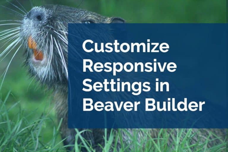 Customize Responsive Settings in Beaver Builder