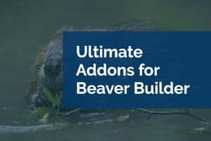 ultimate addons for beaver builder